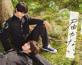 seo首页优化都选20火星软件